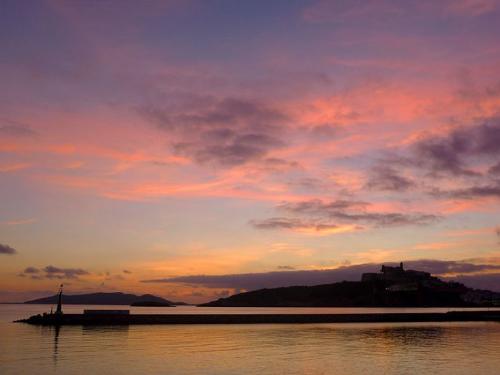 paseomaritimo2-733x550